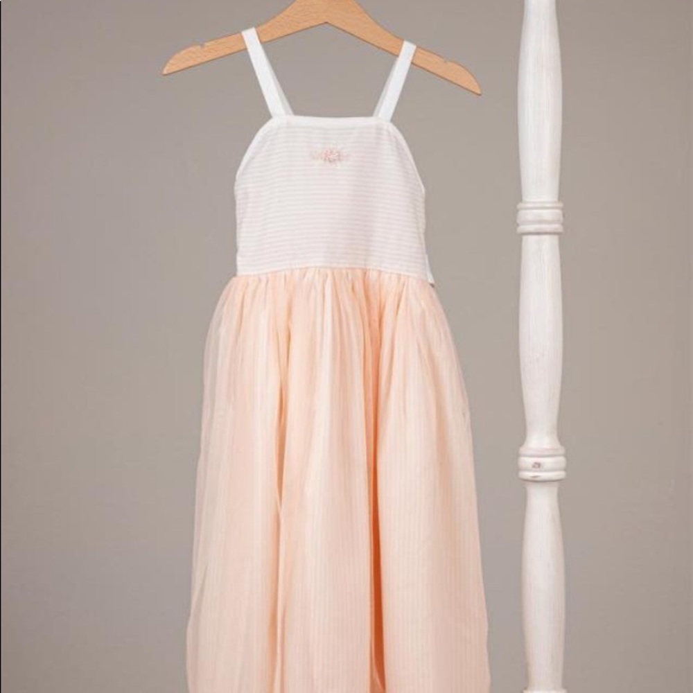 Well dressed Wolf peach maxi